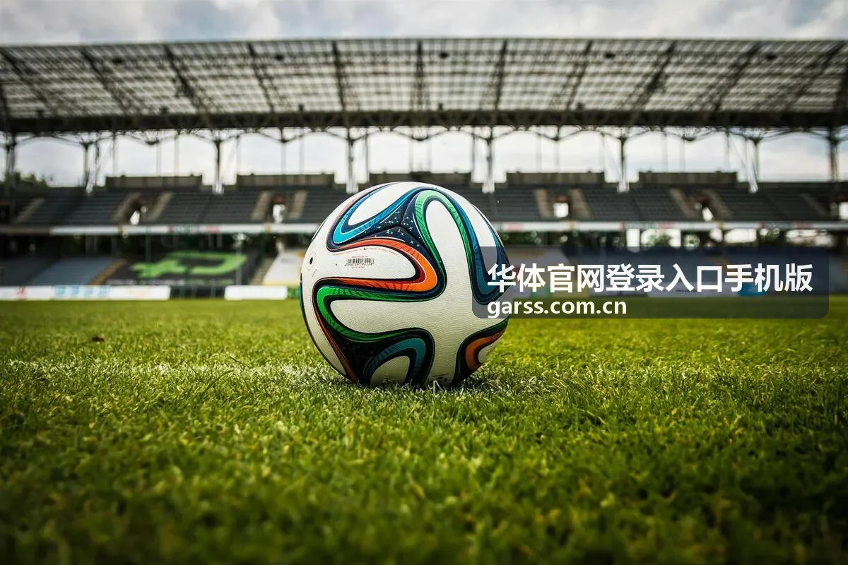 华体官网登录入口手机版主入口页面展示